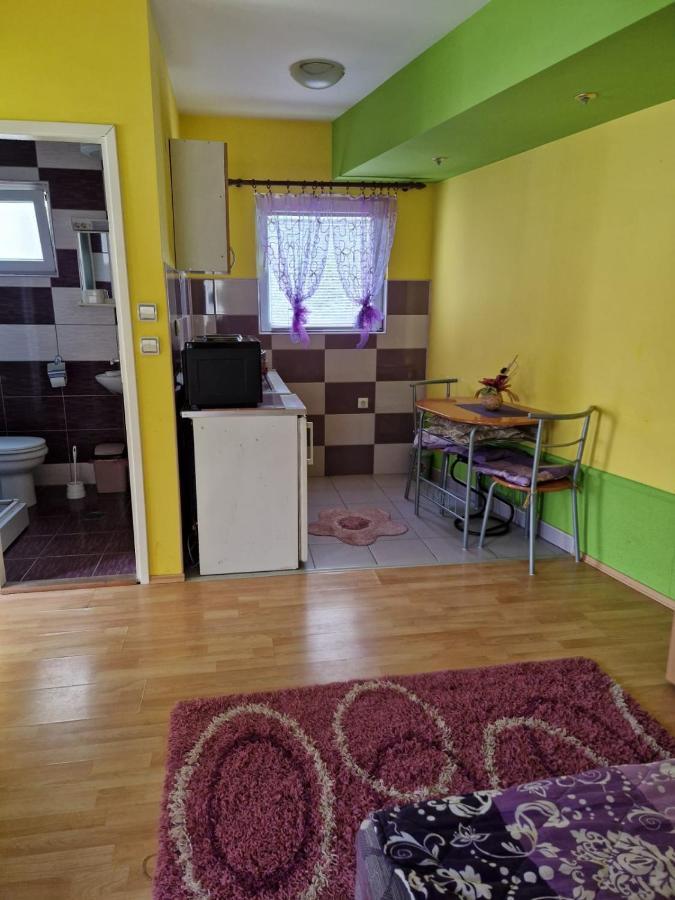 Apartments Hadzi 소코 반자 외부 사진