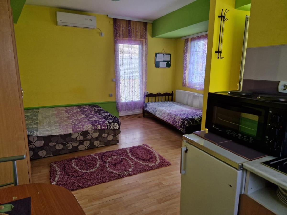 Apartments Hadzi 소코 반자 외부 사진