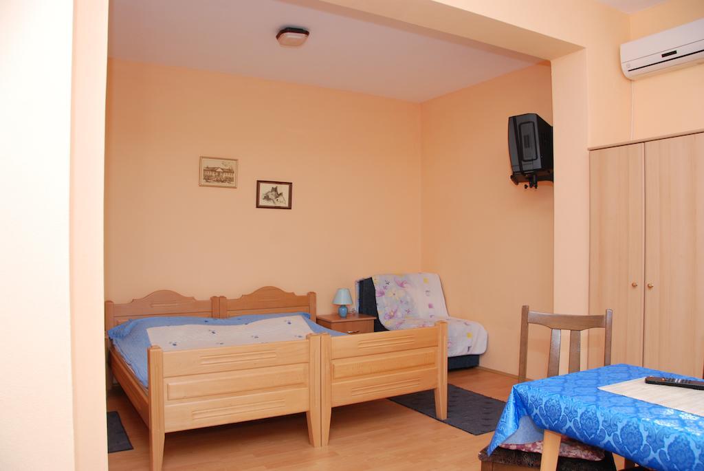 Apartments Hadzi 소코 반자 객실 사진