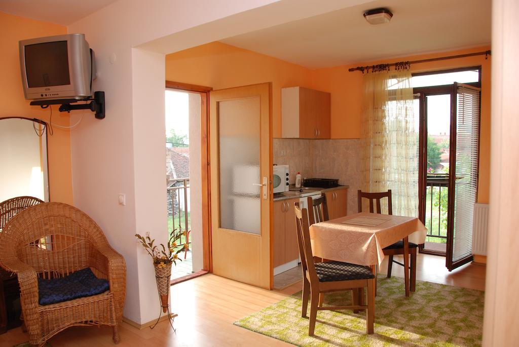 Apartments Hadzi 소코 반자 객실 사진