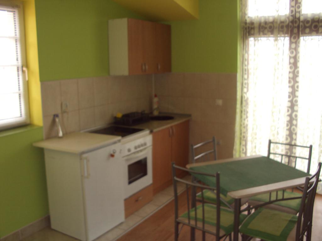 Apartments Hadzi 소코 반자 객실 사진